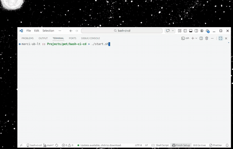 demo visual of bashcidi_demo